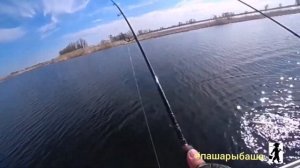 Ловля щуки в апреле.