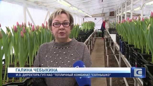 ДАРИТЕ ЖЕНЩИНАМ ЦВЕТЫ смотреть онлайн