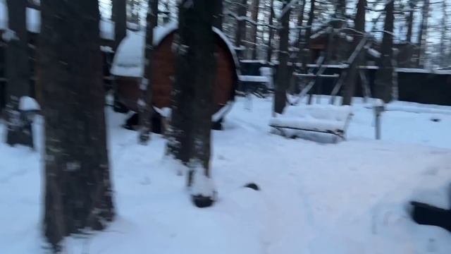 Алиса - лиса. Белка пришла на завтрак смотреть онлайн