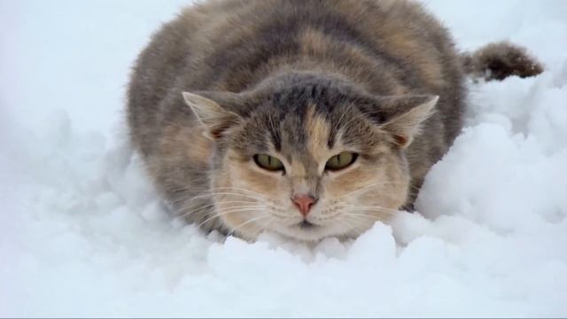 Зимний пейзаж! смотреть онлайн