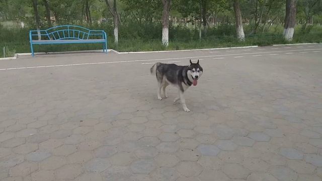 Трезубец Посейдона смотреть онлайн