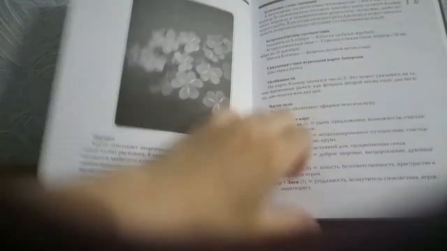Обзор Книга Секреты оракула Ленорман С.Штайнбэк смотреть онлайн