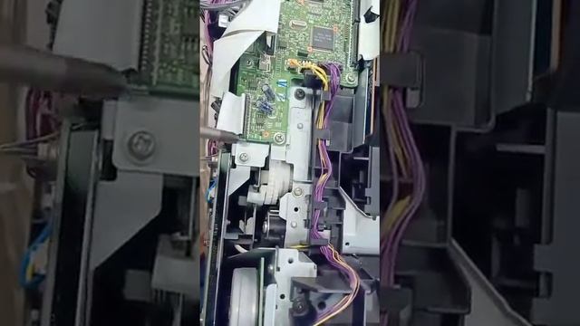 hp color 2025 printers paper does not feed keeps initializing смотреть онлайн