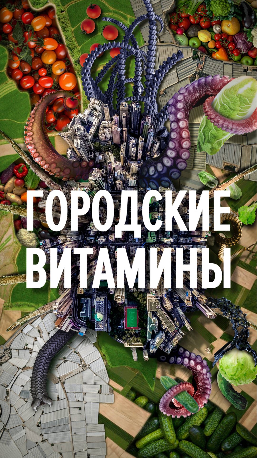 Важное про тепличные овощи смотреть онлайн