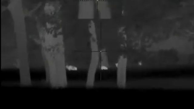 Team Swamp Stomp Counting Hogs смотреть онлайн