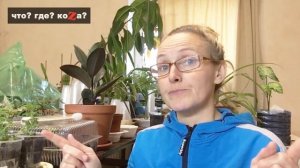 КОЗЛИКИ НА МЯСО - ЧТО ПОЛУЧИЛОСЬ