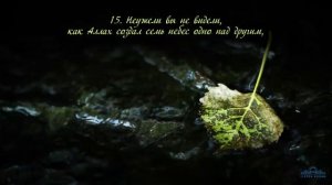 Ахмад ас Суваиди [Ahmed Alsweedy] - Сура 71 «Нух». [1-28]