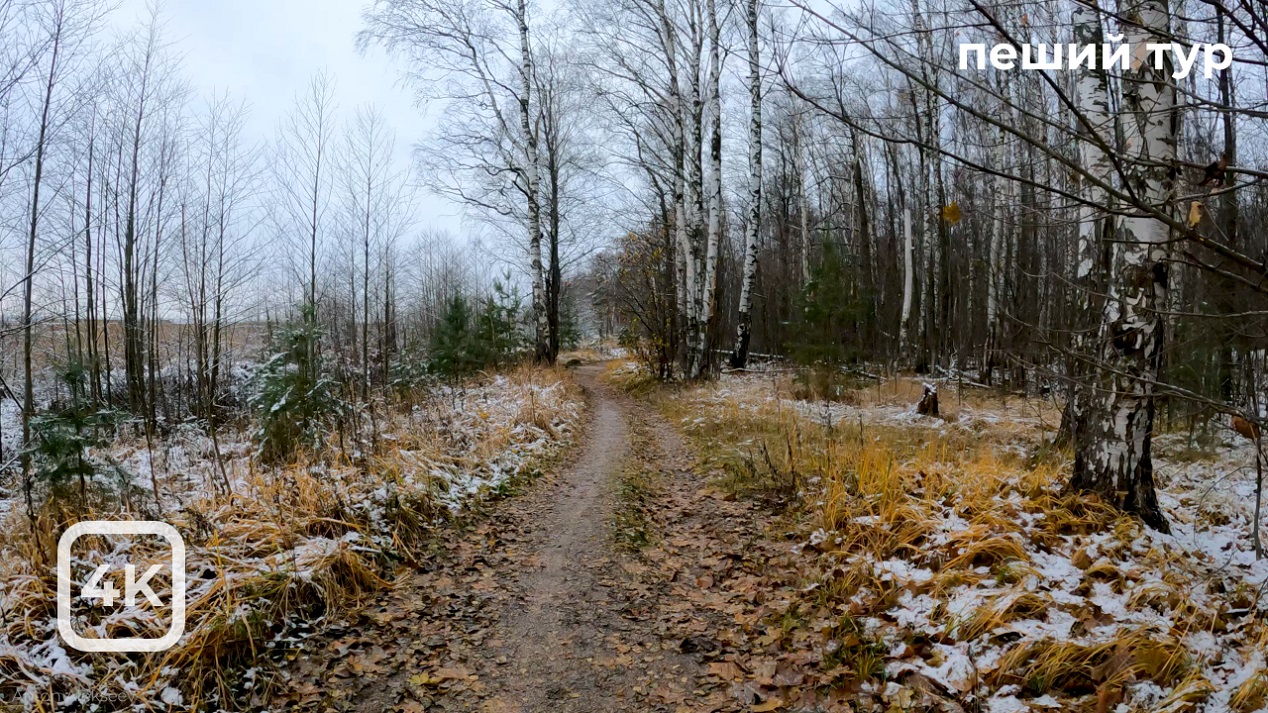 Пешая прогулка вдоль Финского залива