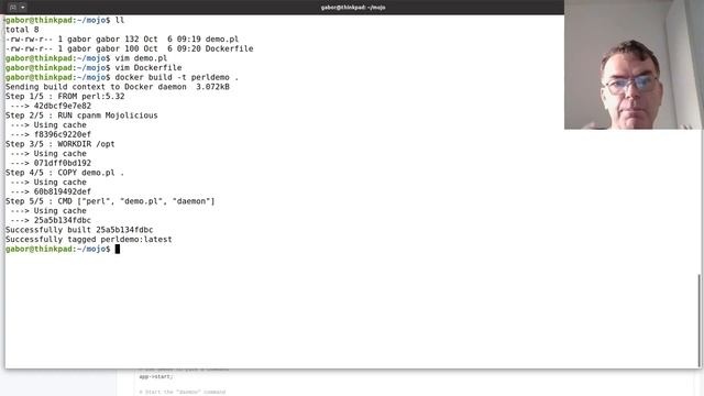 Hello World with Mojolicious in Docker смотреть онлайн