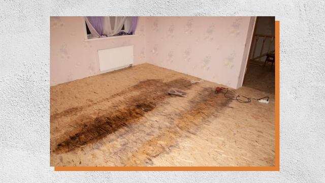 Как проверить дом перед покупкой? / Как купить загородный дом? смотреть онлайн