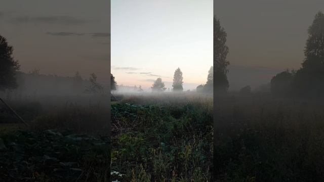 жила бы деревня моя...Рессета лето 2022 смотреть онлайн