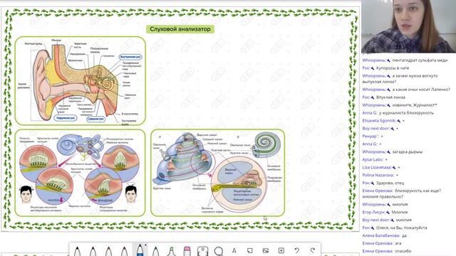 Биология ЕГЭ2021. Анализаторы