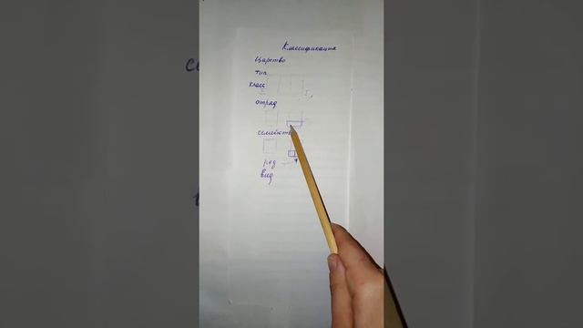 Как легко запомнить таксономические единицы! Классификация, таксономические единицы. смотреть онлайн