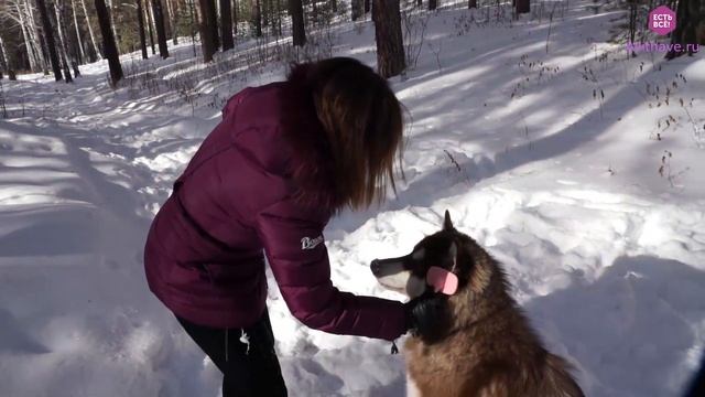 Щетка силиконовая с поворотной головкой Суперэффект, шип, микс цветов - видеообзор смотреть онлайн