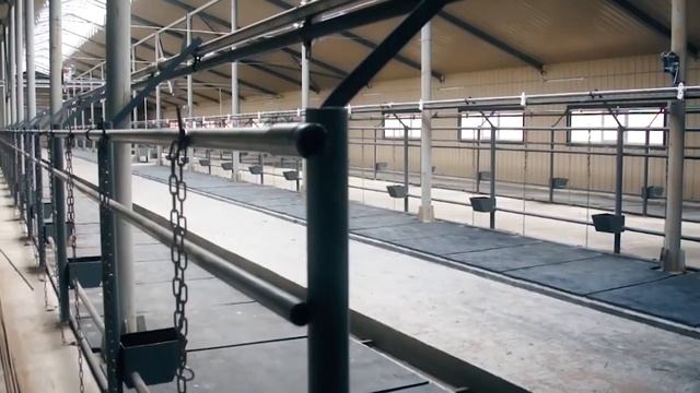 День работника сельского хозяйства смотреть онлайн