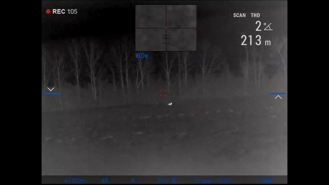 Охота на лису 22.11 с тепловизором Пульсар Pulsar Trail 2 LRF XP50 и карабин Blaser R8 308win