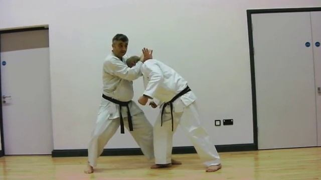 gankaku Bunkai Strategies 2016 week 43 koryu karate oyo jutsu смотреть онлайн