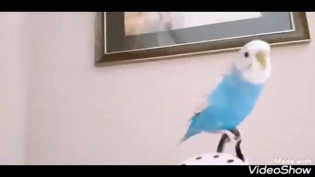 Снежаночка на домике смотреть онлайн