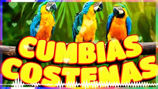 💃🏻CUMBIAS PARA BAILAR⚡CUMBIAS COSTEÑAS 2024🕺🏻📀ANICETO MOLINA, LA LUZ ROJA, LOS KARKIKS, MAR AZUL⭐ смотреть онлайн