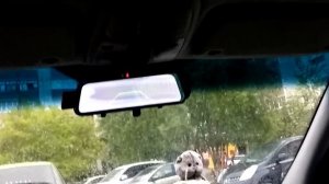 volvo s80 камера заднего вида в зеркале