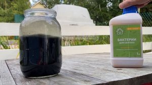 Бактерии для септика Zime Expert