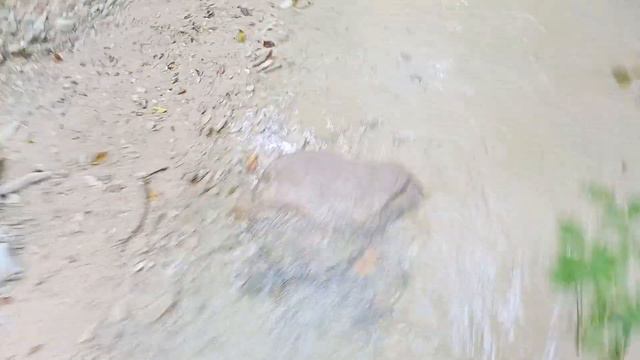 Поднялся в Горы по Руслу Ручья и обратно вниз)) смотреть онлайн