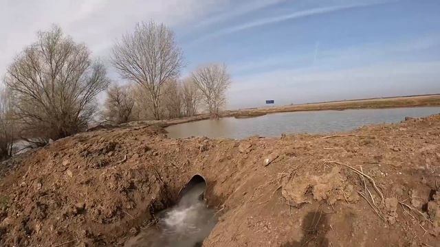 ЛОВЛЯ КАРАСЯ НА ДОНКИ. Рыба проснулась. Весенняя рыбалка 2023. смотреть онлайн