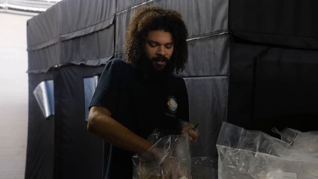 Growing Pioppino Mushrooms And Reishi Harvest | Southwest Mushrooms