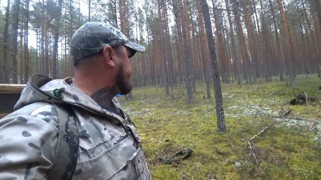 ОН ЕЙ БУКЕТ ЦВЕТОВ, Я ЕЙ ВЕДРО ГРИБОВ! С СУПРУГОЙ ПО ГРИБЫ НА МОТОВЕЗДЕХОДЕ \ БАНЯ, ЗАСУШИЛИ ГРИБЫ смотреть онлайн