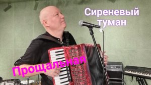 Дворовая песня «Сиреневый туман»