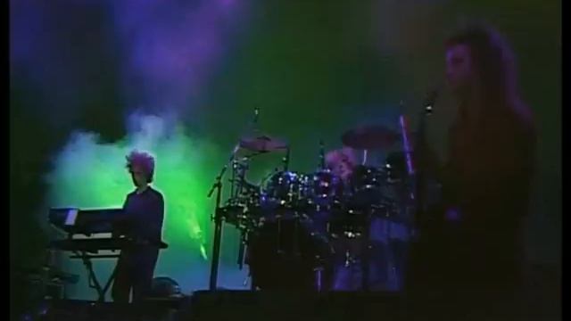 The CuRe - A Forest Leipzig смотреть онлайн