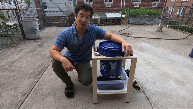 How to Make Compost...with WORMS EP2- First Harvest & New Worms! смотреть онлайн