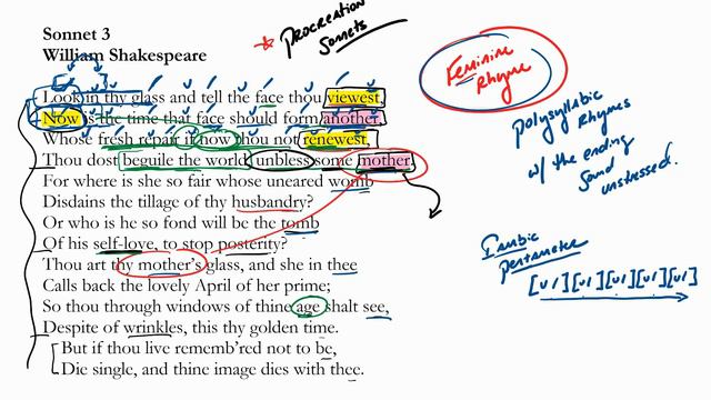 Sonnet 3 By William Shakespeare