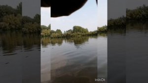 Рыбалка на спиннинг. Поймали Щук. Кан. Красноярский край. Сибирь