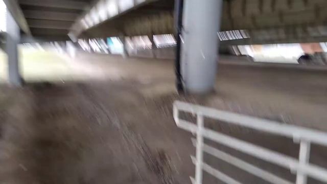 Калининград. Большая прогулка через остров Канта до ТЦ Калининград Плаза - 04.03.2021, СР. 1/2 смотреть онлайн