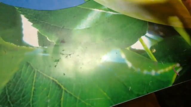 Окружающий мир, аппликация "День Земли" смотреть онлайн