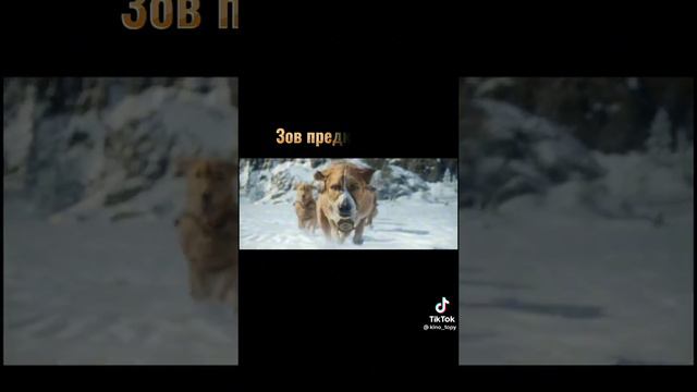 1000004083.mp4 смотреть онлайн