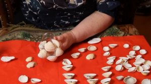 Как сделать Вазу своими руками из ракушек