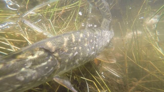 рыбалка мелеуз