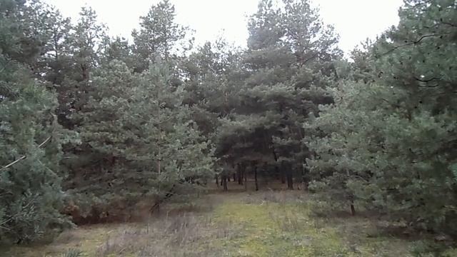 6 декабря народный праздник МИТРОФАНОВ ДЕНЬ. ДЕНЬ ПАМЯТИ АЛЕКСАНДРА НЕВСКОГО. народные традиции смотреть онлайн