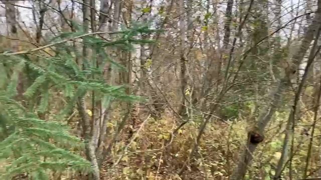 Видео 1592 смотреть онлайн