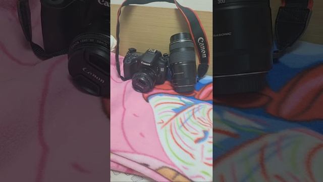 Canon 70D смотреть онлайн