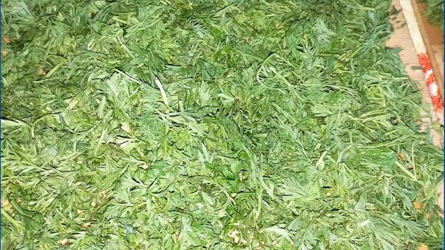 Из ботвы моркови смотреть онлайн