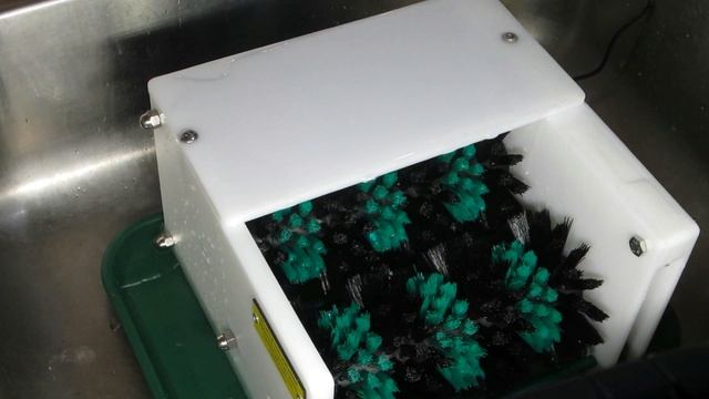 The Little Egg Scrubber