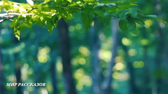 Выгнал жену с ребенком за дверь, но спустя 20 лет... смотреть онлайн