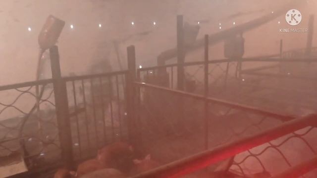 Лучшее Средство Для Дизинфекции В сараях