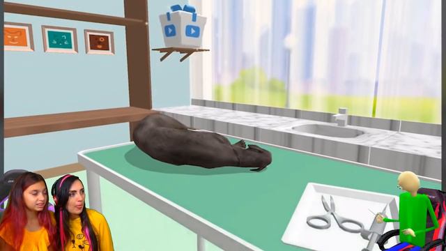 КОТЕНОК УМИРАЕТ..😥 ЭВОЛЮЦИЯ ЛАПОК ЖИВОТНЫХ БАЛДИ МАКСИМАЛЬНЫЙ УРОВЕНЬ Noob vs Pro vs Hacker Paw Car смотреть онлайн