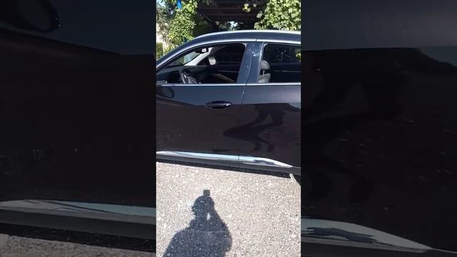 хавал ф 7х от владельца смотреть онлайн