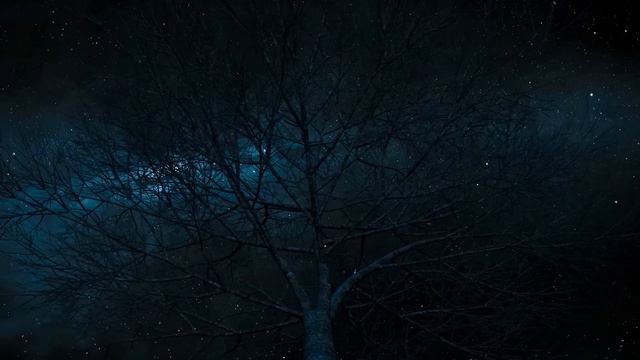 30 Min Deep Sleep Music ★︎ FALL ASLEEP INSTANTLY