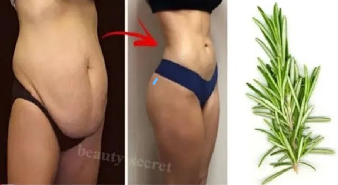 Пейте розмарин с тимьяном, и жир на животе полностью растает без диеты.